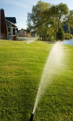 sprinkler running after successful Sacramento CA sprinkler repair job